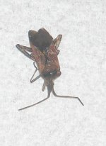 DSCN0174.JPG