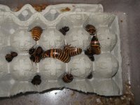 IMG_0837_1.JPG