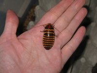 IMG_0841_1.JPG