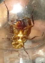 IMG_20170627_003951.jpg