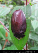 Screenshot 2025-12-30 155652.png