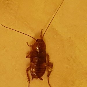 20170202_042434_resized.jpg