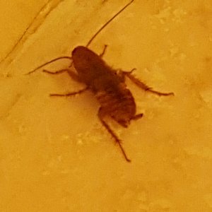 20170202_041600_resized.jpg