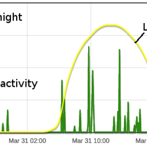corydidarum_activity.png