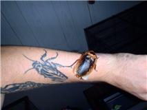 peppered tatt.jpg